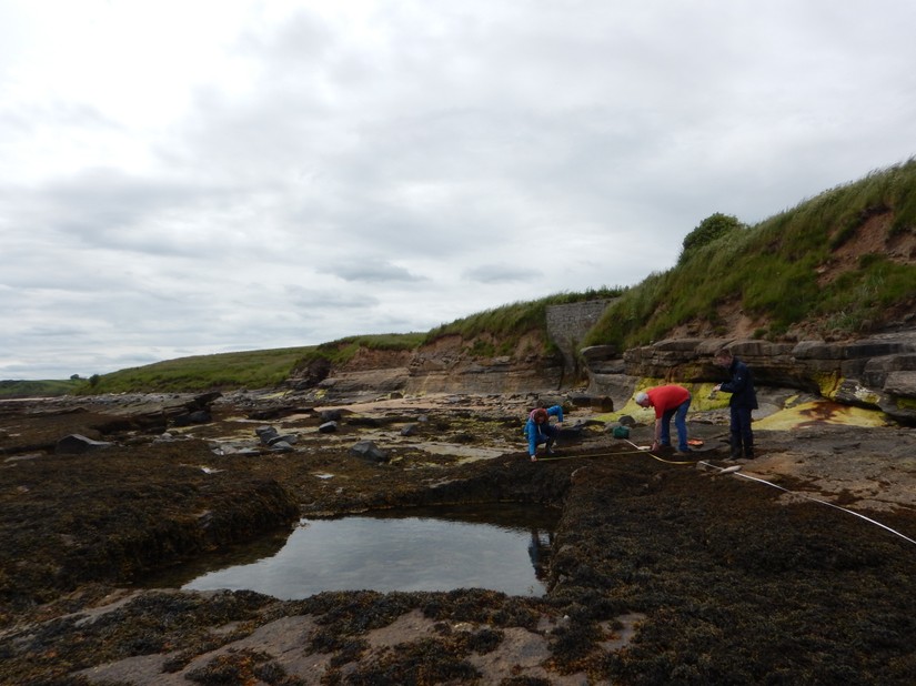 Volunteers surveying the suggested Bathing Pool