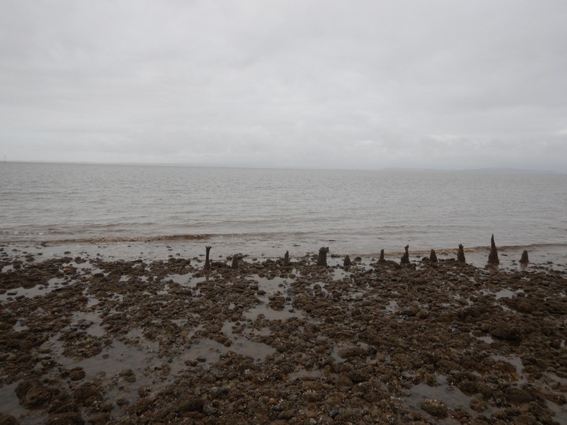 Heysham fishing weir
