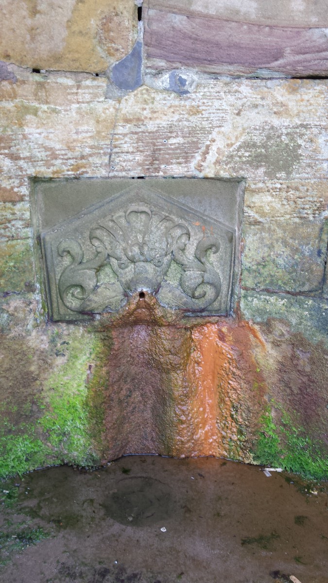 The identified site of the spring drank from by Mrs Farrow