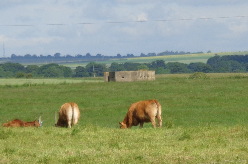 Lozenge pillbox of the second defence line
