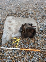CITiZAN_SE_volunteers's image