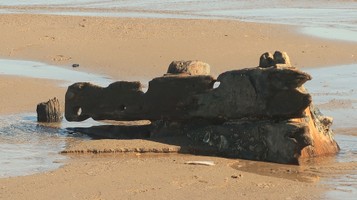 North_Volunteer's image