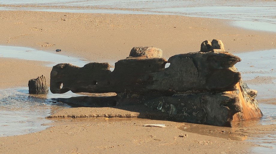 North_Volunteer's image